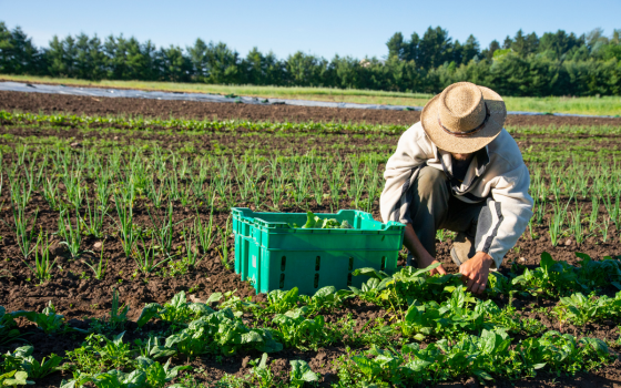 Labelliser son exploitation dans une démarche environnementale