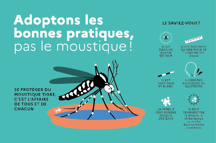 Le moustique tigre : lutter contre sa propagation - Collectivité